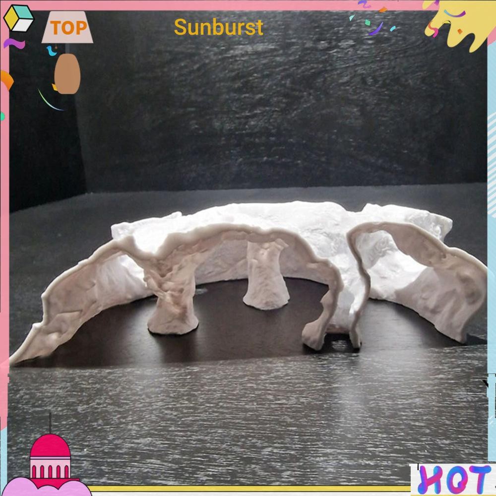 อุโมงค์ธรรมชาติ Pleco Cave 3D Cave อุปกรณ์ถังปลาสําหรับ Cichlid Clown Loach & Kuhli Loach [Sunburst1