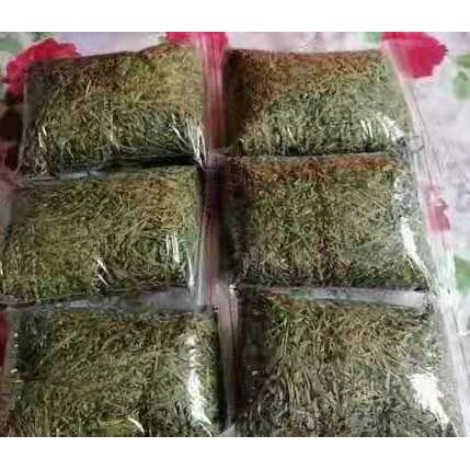 CAMEROON ,ERU FB2000