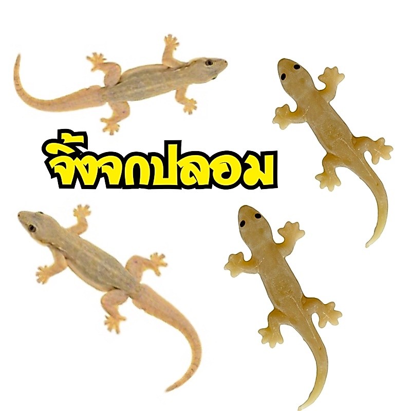 ส่งด่วน จิ้งจกปลอมแกล้งเพื่อน ของเล่นแกล้งเพื่อน(1แผง 12ตัว)