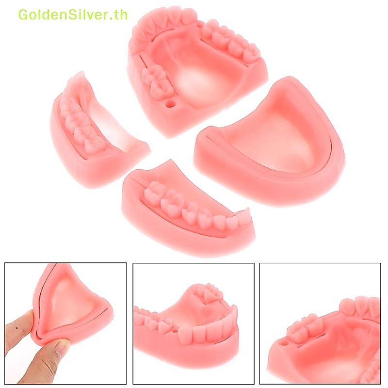 Goldensilver 4pcs Dental Simulation โมเดลเย็บแผลในช่องปาก การเย็บหมากฝรั่ง อุปกรณ์การสอน TH
