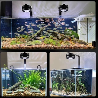 COD โคมไฟ LED WRGB+UVA Full Spectrum สำหรับตู้ปลาและไม้น้ำ ส่องสวย สีสดใส