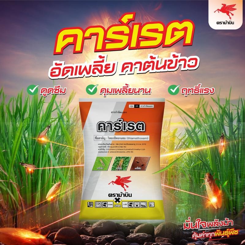 คาร์เรต ไทอะมีทอกแซม อัดเพลี้ยอยู่หมัด คุมเพลี้ยนาน แรงพิเศษ 100กรัม