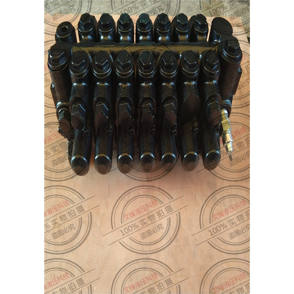 Changyuan เช็ควาล์วหลายช่อง DL31-F20L-T/O (a) OO (ab) O (Ab) O (AB) วาล์วหลายช่องเครื่องจักรสุขาภิบา