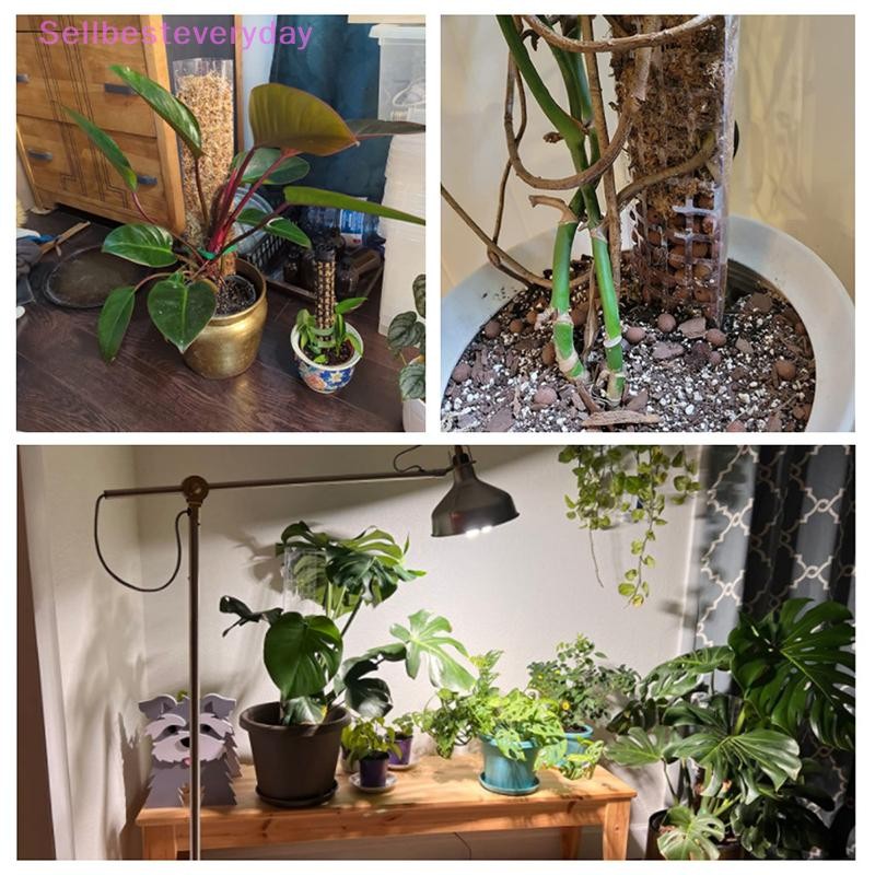 SETH 2/4/6 ชิ้นพืชปีนเขาน้ํา Moss คอลัมน์ในร่ม Moss POLE พืชเสาพลาสติกสําหรับ Sphagnum สนับสนุนกระถา