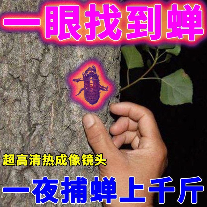 ค้นหา Cicada การถ่ายภาพความร้อนจับ Cicada เครื่องมือความร้อนกลางแจ้งเครื่องมือความร้อนค้นหา Cicada ค