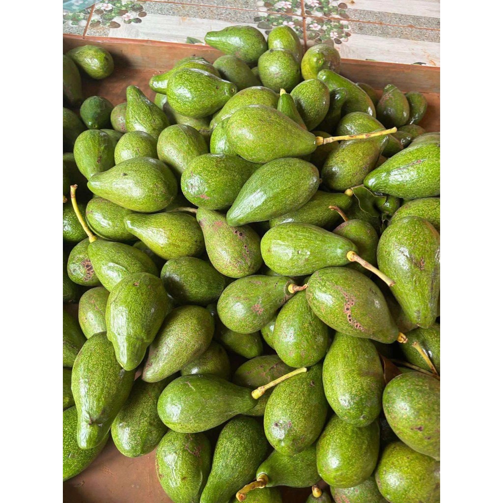 อโวคาโดสด 1 กิโลกรัม พันธ์ 034 บูส 7 พื้นเมือง ปีเตอรสัน