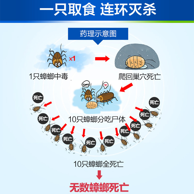 [12g] Bayer Bayer แมลงสาบเยอรมันยาครัวในครัวเรือน One Nest ฆ่าแมลงสาบหมากฝรั่งเหยื่อ Buster ขนาดฆ่า