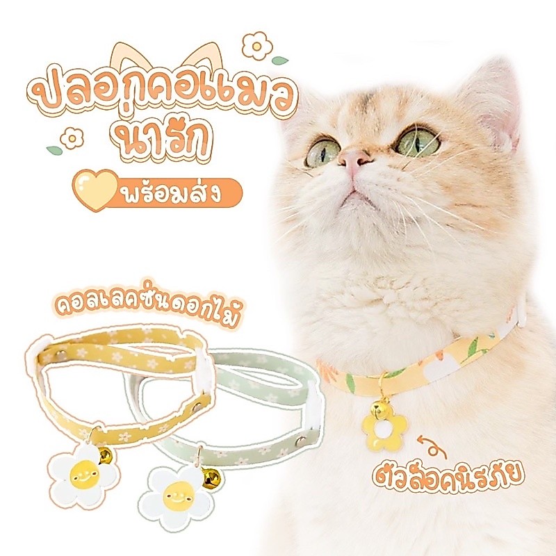 พร้อมส่ง🌸ปลอกคอแมวนิรภัย#ปลอกคอเดซี่#ปลอกคอน่ารัก