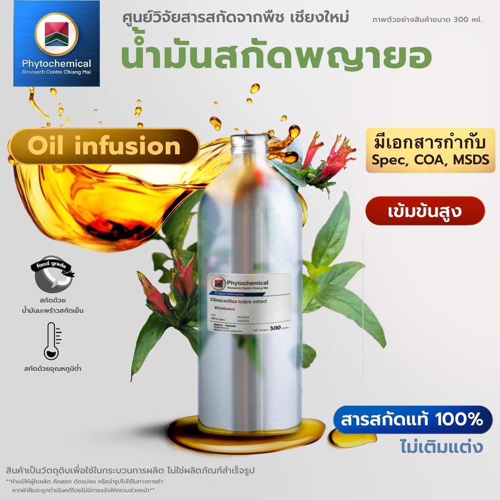 น้ำมันพญายอ(เสลดพังพอน)(Oil infusion) Phaya Yor extract | สารสกัดจากพืช สารสกัดสมุนไพร 100% | เข้มข้นสูง 25-100 ml.