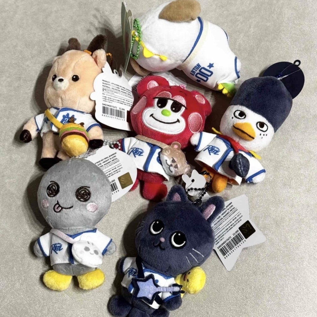 【พร้อมส่ง】ตุ๊กตา riize shotaro、eunseok、sungchan、wonbin、sohee、anton riize ตุ๊กตา/พวงกุญแจ Fan-made
