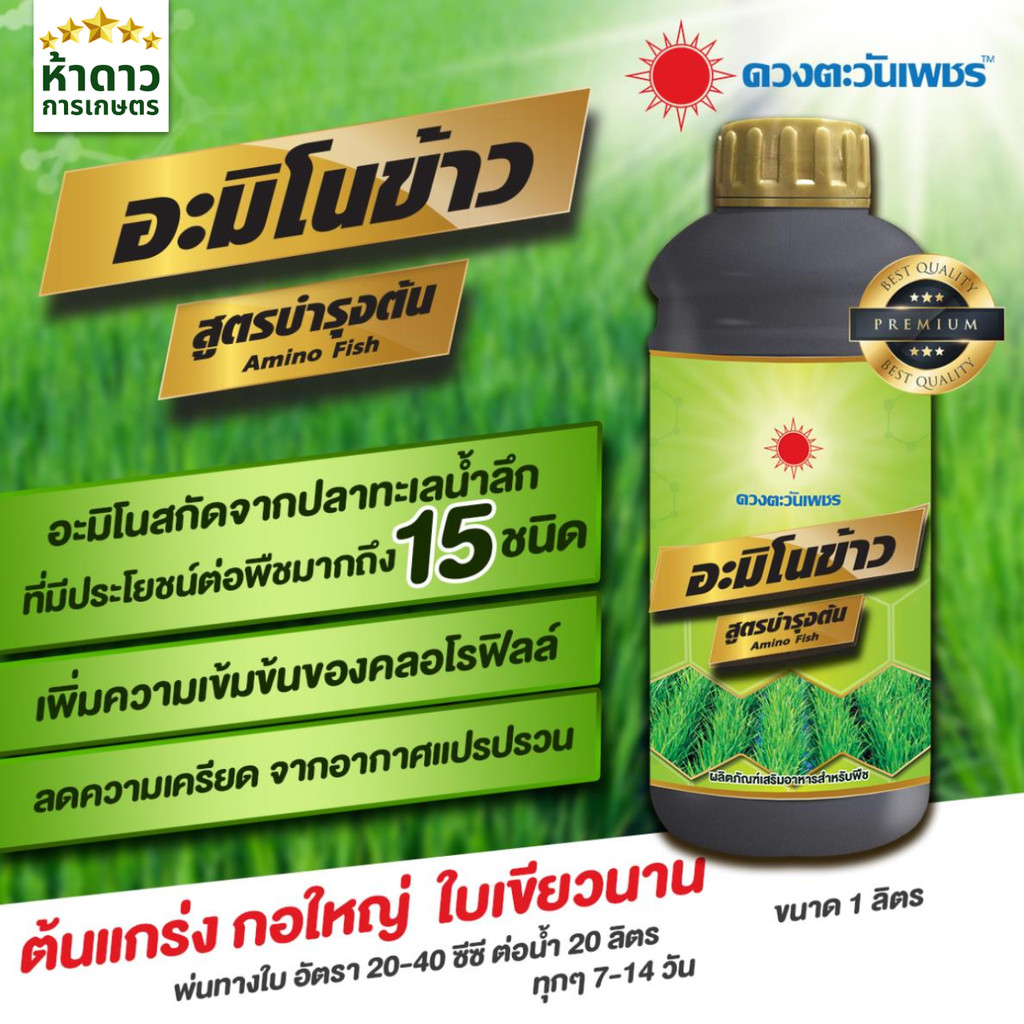 อะมิโนข้าว สูตรบำรุงต้น ตราดวงตะวันเพชร ขนาด 1 ลิตร กอใหญ่ ใบตั้ง เขียวนาน