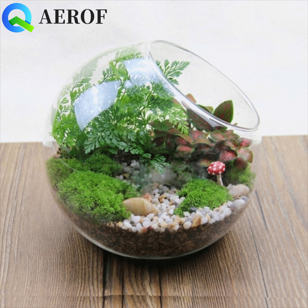 แจกันแก้ว Borosilicate ขนาด 8/10/12/16 ซม. จากโรงงาน Cec Ying เหมาะสำหรับTerrariumและสวน