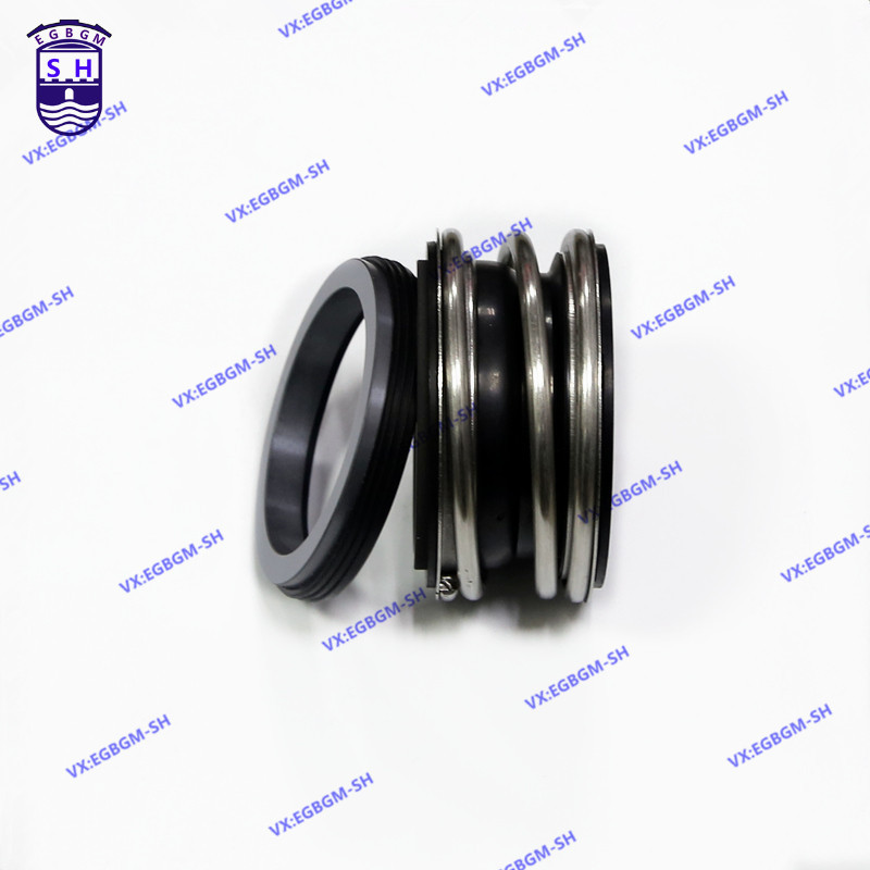 สนับสนุน Borgman ปั๊มน้ําปิดผนึกกล 109-18/20/25/28/30/32/35/38/40 กาวฟลูออไรด์