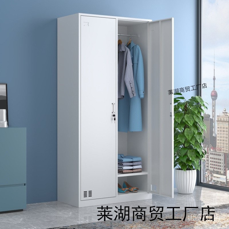 ตู้เสื้อผ้า Locker Staff เหล็กหนังเสื้อผ้า Two-Door Locker Factory ตู้เสื้อผ้าในครัวเรือน Staff Stor