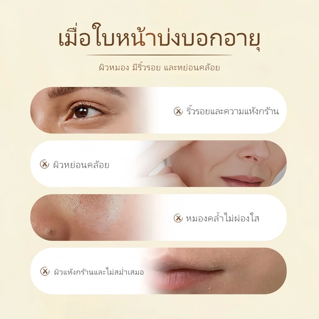 BODANA วอเตอร์ ลิลลี่ เอสเซนส์ ออยล์ สกินแคร์ ผิว ใบหน้า ความชุ่มชื้น ออยล์บำรุงผิวหน้าจากดอกบัวขาว thumbnail 8