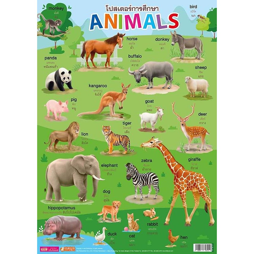 Se-ed (ซีเอ็ด) : โปสเตอร์การศึกษา Animals (ใช้ร่วมกับ MIS Talking Pen)