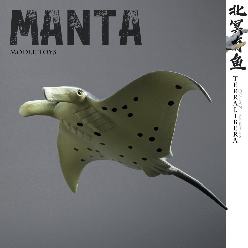 จําลอง Manta Ray ตุ๊กตา Ocean Life การเรียนรู้ของเล่นสําหรับเด็ก