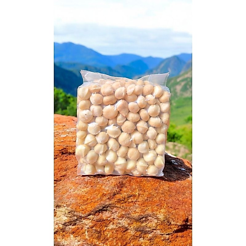 แมคคาเดเมีย อบสดใหม่ macadamia ของไทยแท้ เต็มเม็ด อบธรรมชาติไม่ปรุงแต่ง