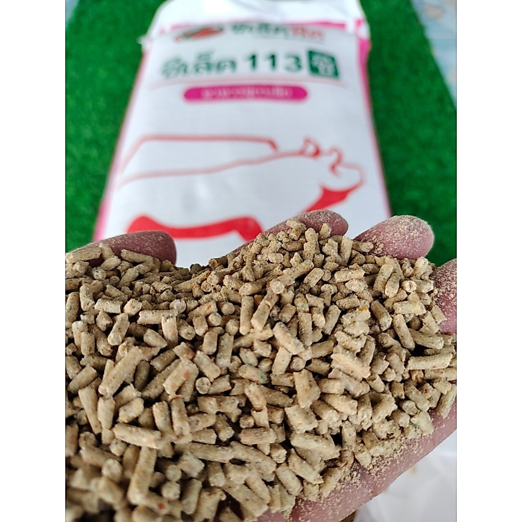 20 กิโลกรัม อาหารหมูนม แบ่งขาย  ซีเล็คฟีด อาหารสุกรเล็ก หมูเล็กซีเล็ค 113 ซี *ใส่กระสอบแบ่งขาย