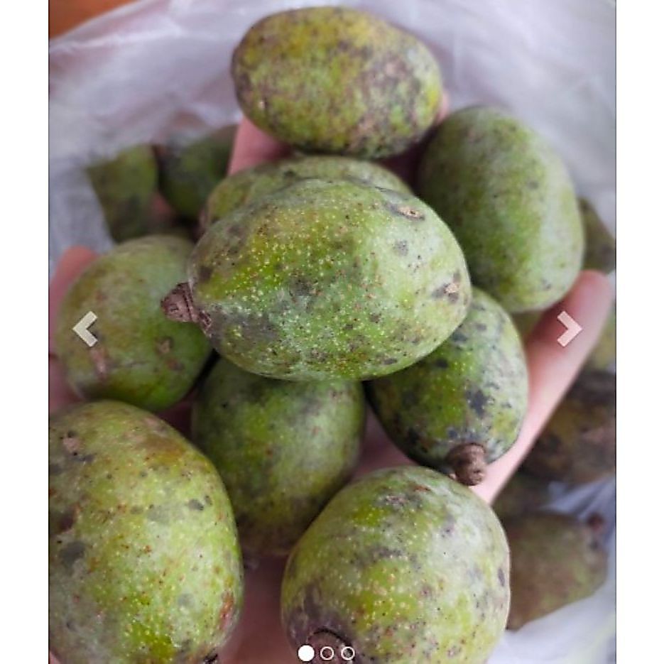 63.มะกอกใส่ส้มตำ อบแห้ง ขนาด 20 กรัม