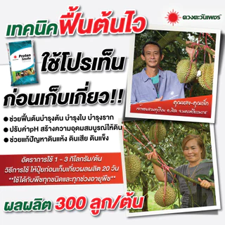 โปรเท็น ดวงตะวันเพชร โปรตีนพืช ฮิวมิก+อะมิโน *เน้นแตกยอด แตกราก* ฟื้นต้น ดินดี ใช้ได้กับพืชทุกชนิด 50กก.
