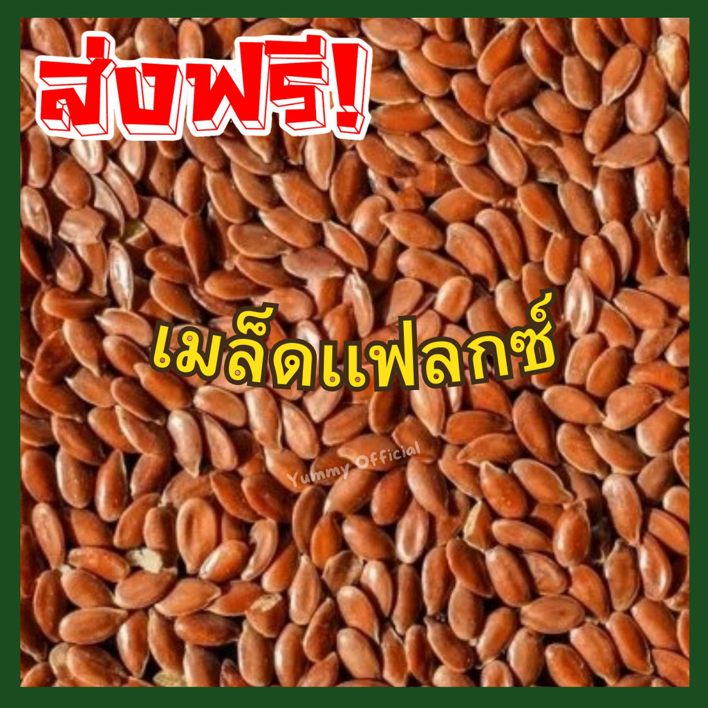 JJ โปร ซื้อ1เเถม3  ถุง 100กรัม เมล็ดแฟลกซ์  (   Flax Seed ) เเฟลกซ์ เม็ดเเฟลกซ์ เเฟลกซ์ flex seeds เ