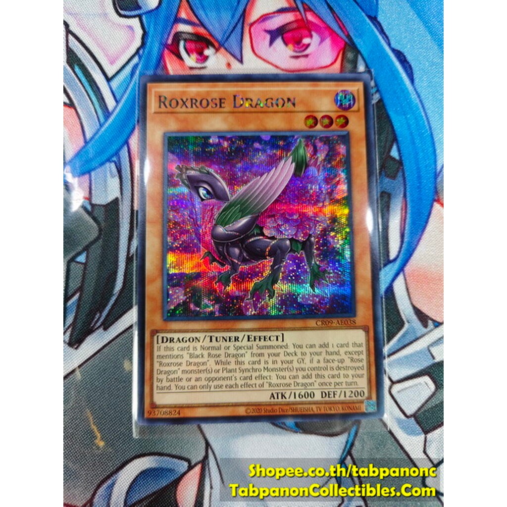 CR09-AE038 Roxrose Dragon - SCR