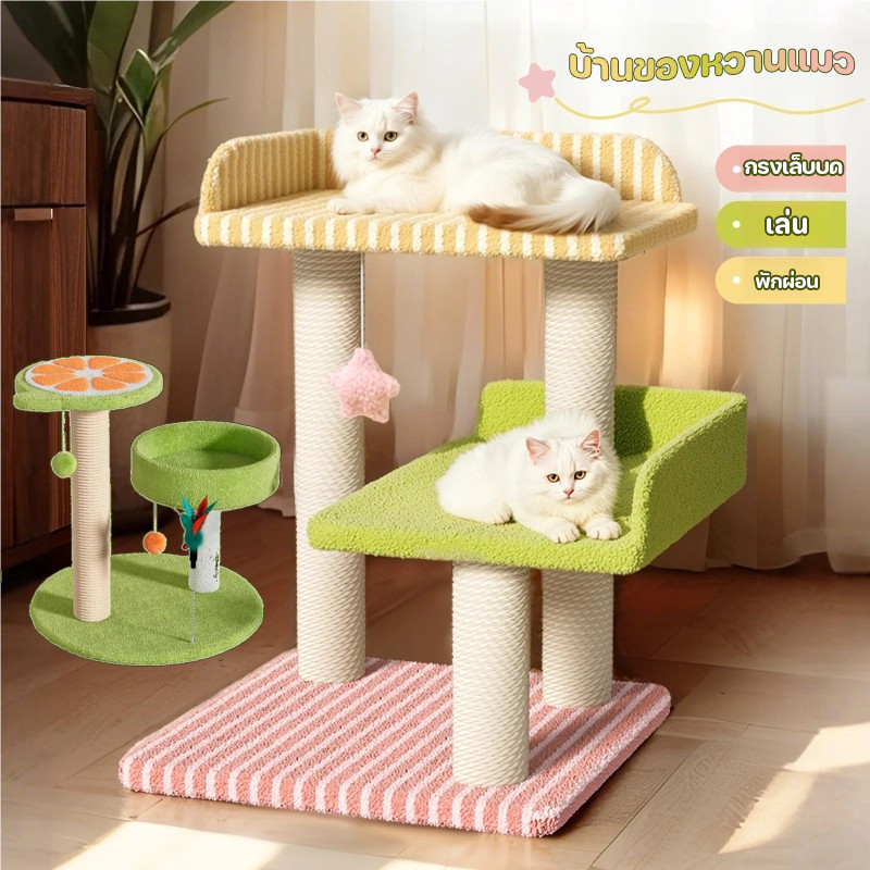กรอบปีนแมว 3 ชั้น มีเสาข่วน+บ้านนอน+ของเล่น สำหรับแมวทุกวัย ครบจบในชิ้นเดียว คอนโดแมวบันได ﻿บ้านแมว