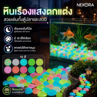 NESTY หินเรืองแสงในที่มืด สําหรับตกแต่งตู้ปลาหินเรืองแสงตกแต่งสวน หินสีพาสเทล สวยทั้งกลางวันก