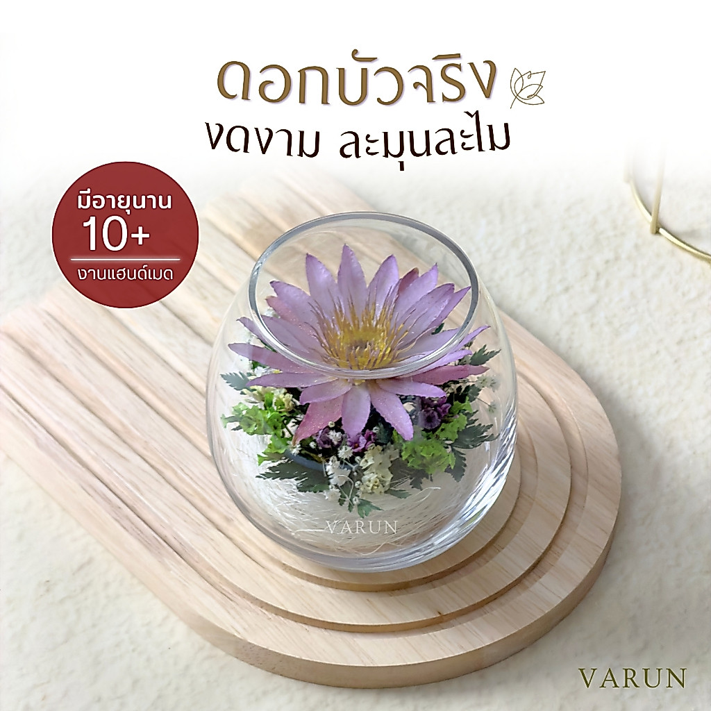 🪷ดอกบัว & ดอกกุหลาบจริง 100% ในโหลแก้ว | มีอายุนาน 10 ปี ขึ้นไป ⬆️  ดอกไม้ไหว้พระ | ใช้แทน ดอกบัวปลอม
