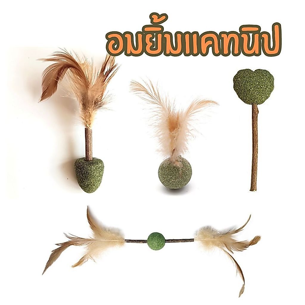 อมยิ้มแคทนิป ขนมแมว ของเล่นแมว หญ้าแมว สินค้าพร้อมส่ง