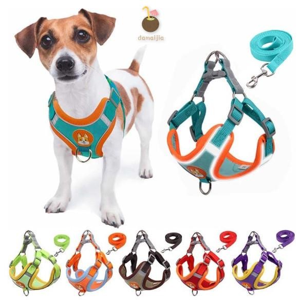 ปลอกคอสุนัข Cat Pectoral - ชุดคู่มือพร้อมเสื้อกั๊กสัตว์เลี้ยงสําหรับสัตว์เลี้ยงขนาดกลางขนาดเล็ก