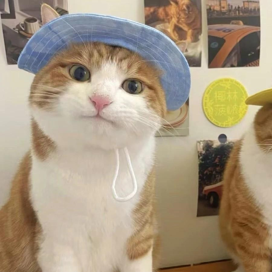 หมวกสัตว์เลี้ยง |     เหมาะสําหรับสุนัขขนาดใหญ่ กลาง และเล็ก |     หมวกกันแดดฤดูร้อนที่สะดวกสบายระบายอากาศได้ - รูปที่ 5