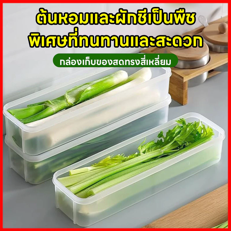 ⚡พร้อมส่งจากไทย⚡ กล่องเก็บผักผลไม้  กล่องรักษาความสด ยืดอายุผักผลไม้ให้สดใหม่ เก็บได้นานขึ้น จัดตู้เย็นเป็นระเบียบ thumbnail 3