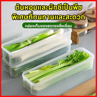 ⚡พร้อมส่งจากไทย⚡ กล่องเก็บผักผลไม้ กล่องรักษาความสด ยืดอายุผักผลไม้ให้สดใหม่ เก็บได้นานขึ้น จัดตู้เย็นเป็นระเบียบ
