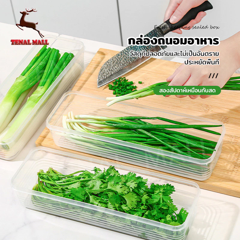 กล่องถนอมอาหาร กล่องสด ก๋วยเตี๋ยว กล่องเก็บอาหาร ตู้เย็นจัดเก็บ กล่องเก็บผักชี โปร่งใสปิดผนึก พลาสติก