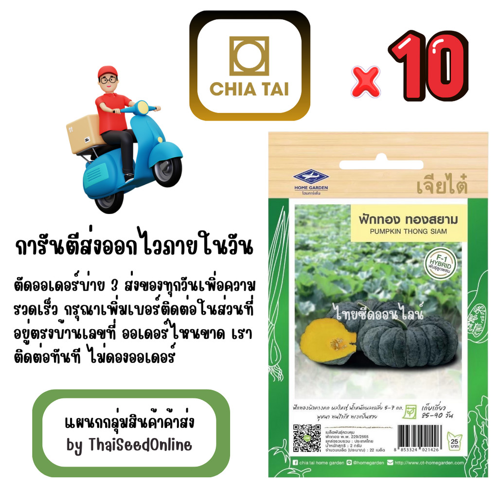 CTF1 x 10 เมล็ดผักซองเจียไต๋ ฟักทอง ทองสยาม สินค้ายกแพ็ค