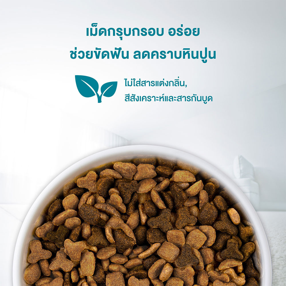 [อยู่ระหว่างปรับเปลี่ยนสูตร อาจได้รับทั้งสูตรเก่าและสูตรใหม่][เลือกรสชาติได้] Purina One อาหารแมว 1.2 กก. - ภาพย่อย 5
