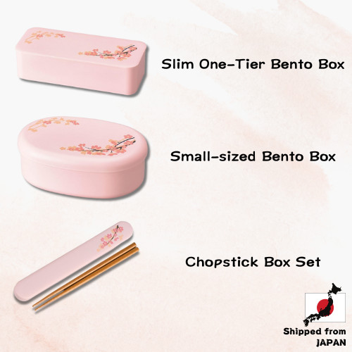 Tatsumiya SAKURA Slim and Oval Lunch Box Set