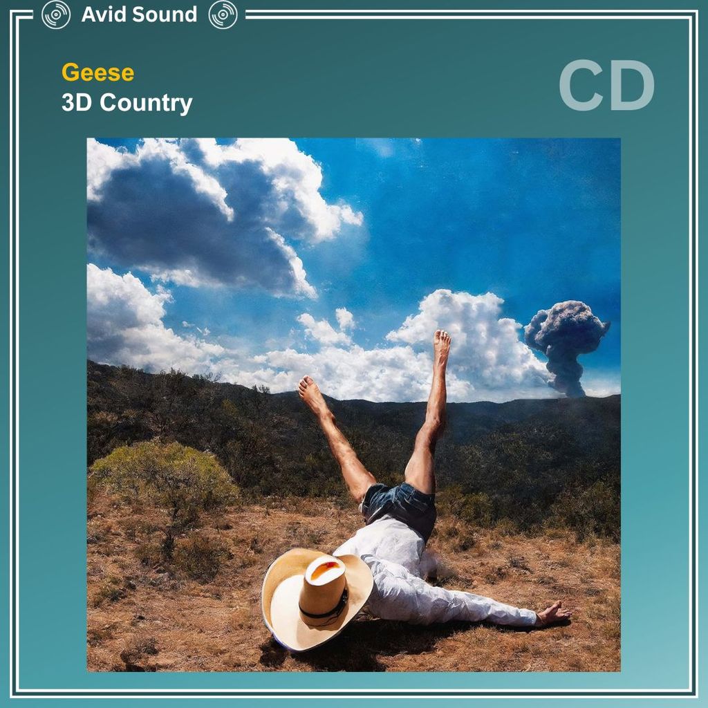CD แผ่นซีดี Geese 3D Country ใหม่ ซีล Geese CD