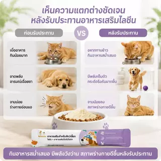 Ketzuzu 12/24 แพ็ค วิตามินแมว อาหารเสริมแมว ไลซีนโปรไบโอติกผง ช่วยเสริมภูมิและกินง่าย 14g