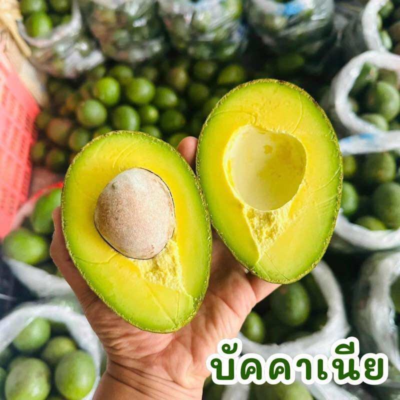 พร้อมส่ง‼️(1KG) อโวคาโด้034 avocado