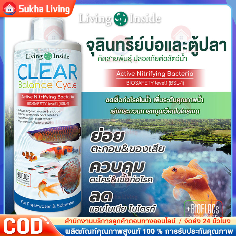 COD แบคทีเรียสำหรับบ่อปลา บ่อปลา ตู้ปลา น้ำใส จุลินทรีย์ แบคทีเรีย ลดตะไคร่ ย่อยของเสีย ลดกลิ่น Living Inside สลายขี้ปลา