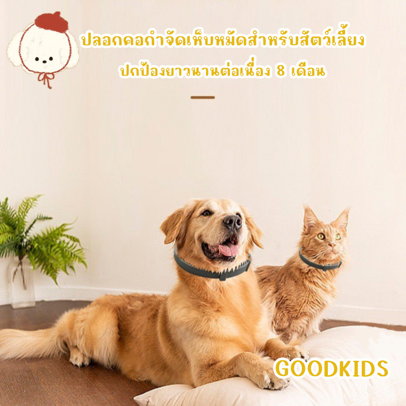 STOCK ปลอกคอกำจัดเห็บหมัด สำหรับสุนัขและแมว ปรับความยาวได้ ป้องกันแมลง夏ฤดูร้อน ราคา ถูกที่สุด ดีลบีเคเค