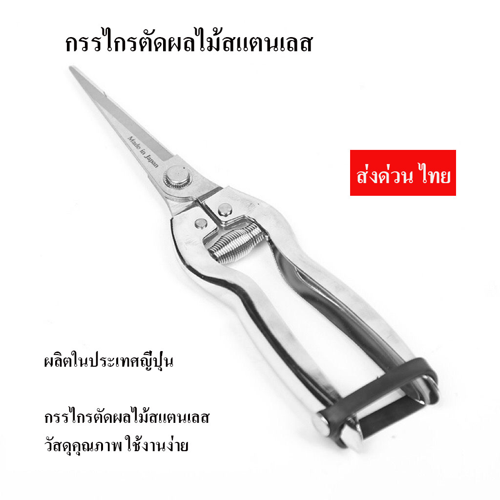 กรรไกรตัดแต่งกิ่งและผลไม้ (Stainless Steel Pruning Shears)