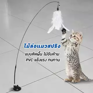 【PetZap】ไม้ล่อแมวติดกระจก ของเล่นแมวแก้เบื่อ ฐานดูดสูญญากาศ ด้ามยาว แมวเล่นสนุก COD CW-035