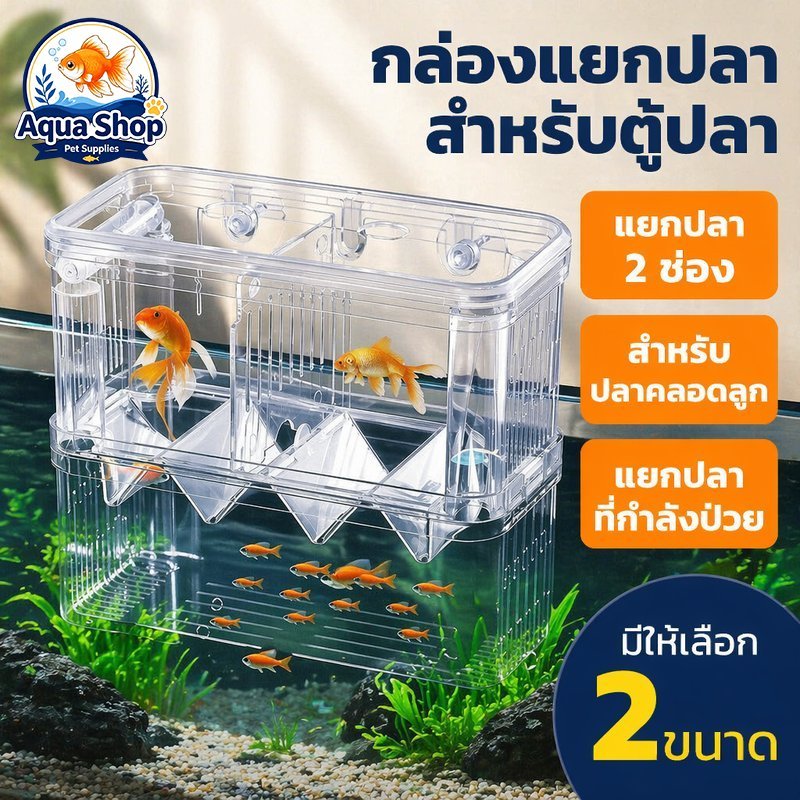 กล่องแยกปลา กล่องคลอดปลา ตู้แยกปลาป่วย กล่องอนุบาลลูกปลา 2 ช่อง สีใส สำหรับตู้ปลา 2 ขนาด