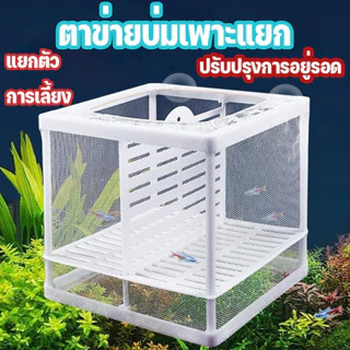 กล่องฟักไข่ปลา ตะแกรงแยกปลาแบบตาข่าย อุปกรณ์เพาะพันธุ์ปลา