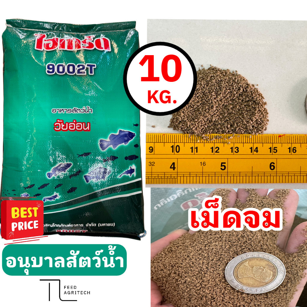 อาหารปลาไฮเกร์ด เม็ดจม โปรตีน42% ไฮเกรด อนุบาลสัตว์น้ำทถกชนิด ยกกระสอบ 10 กิโลกรัม