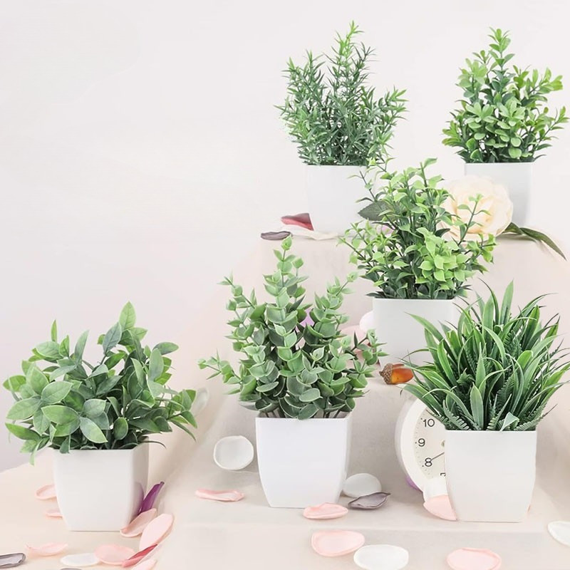 รูปภาพ 8